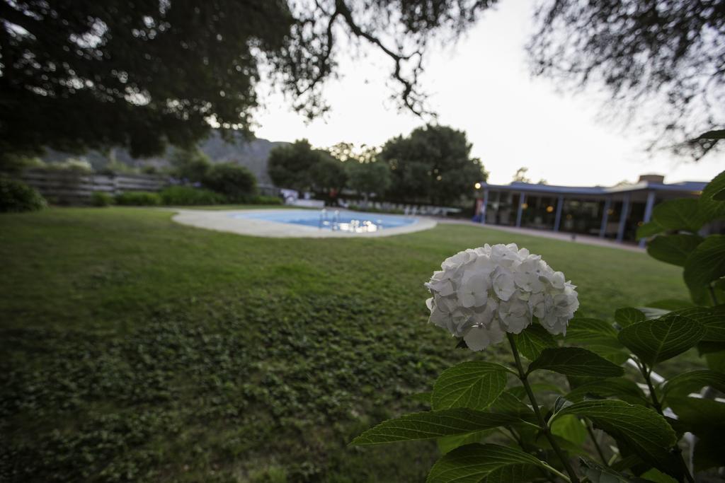 The Blue Sky Lodge Carmel Valley Extérieur photo