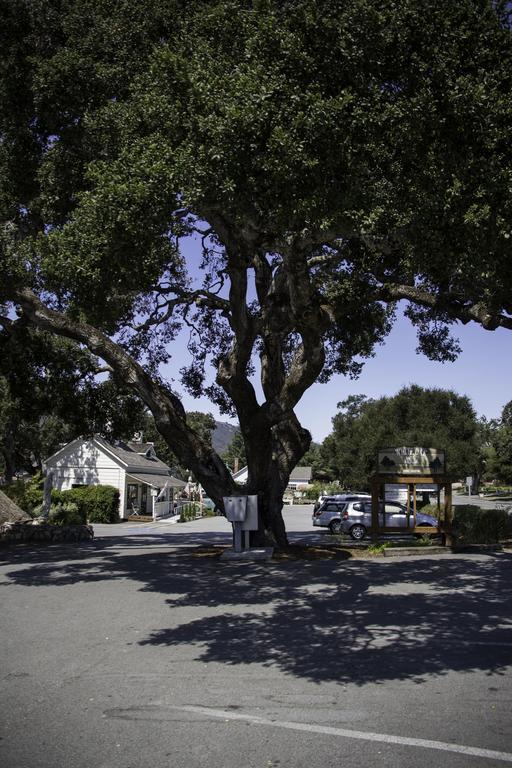 The Blue Sky Lodge Carmel Valley Extérieur photo