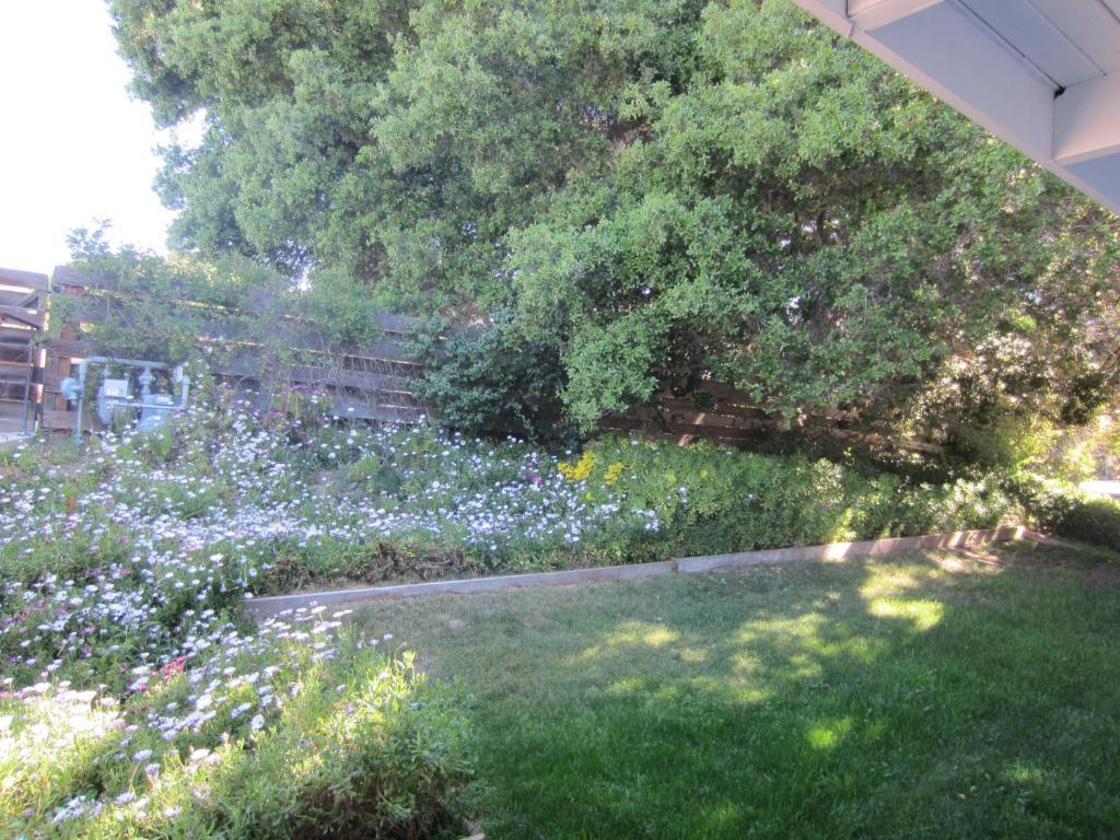 The Blue Sky Lodge Carmel Valley Extérieur photo