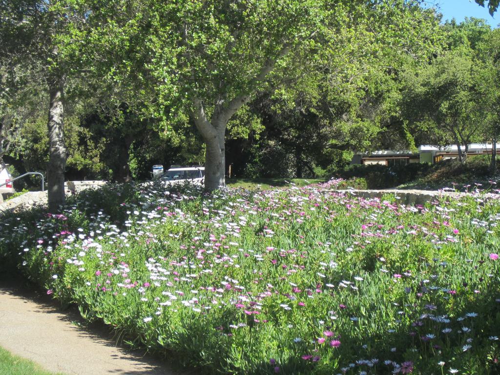 The Blue Sky Lodge Carmel Valley Extérieur photo